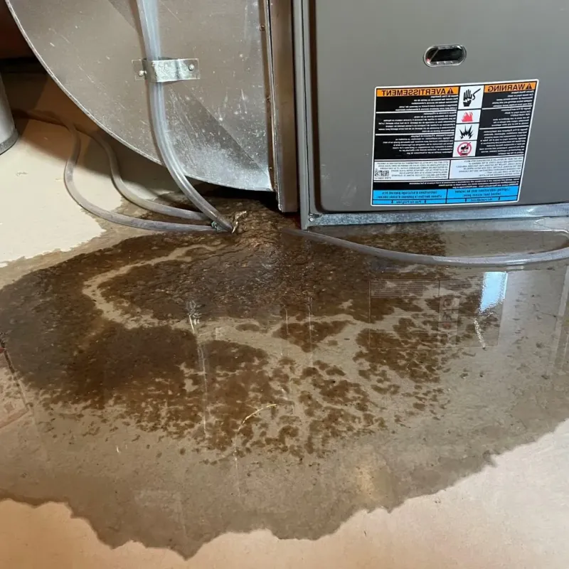 Pipe Burst and Leak Restoration in Harrington Park, NJ