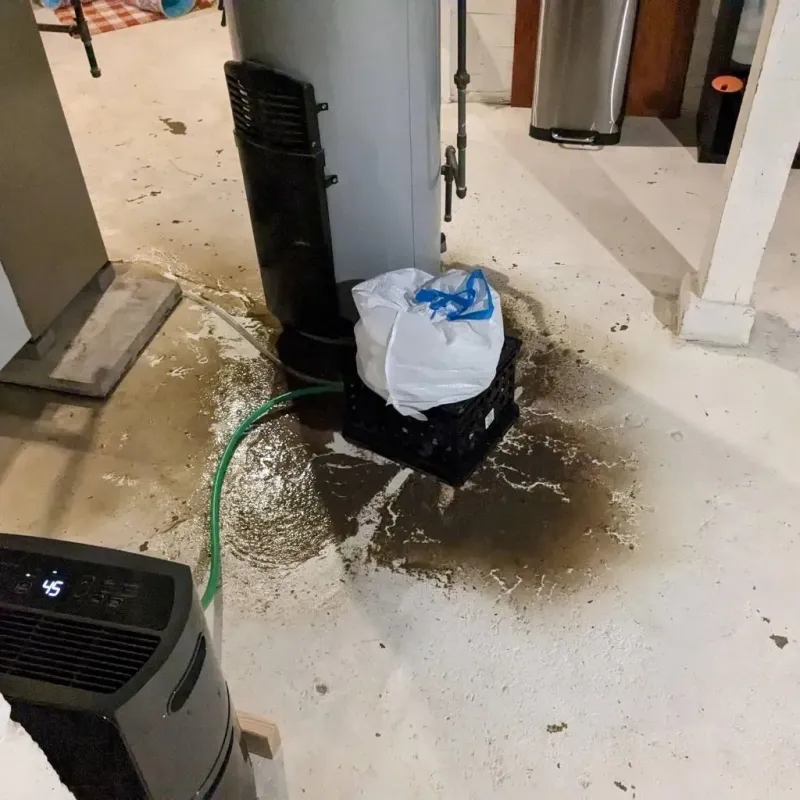 Sewage Backup Cleanup Service in Harrington Park, NJ